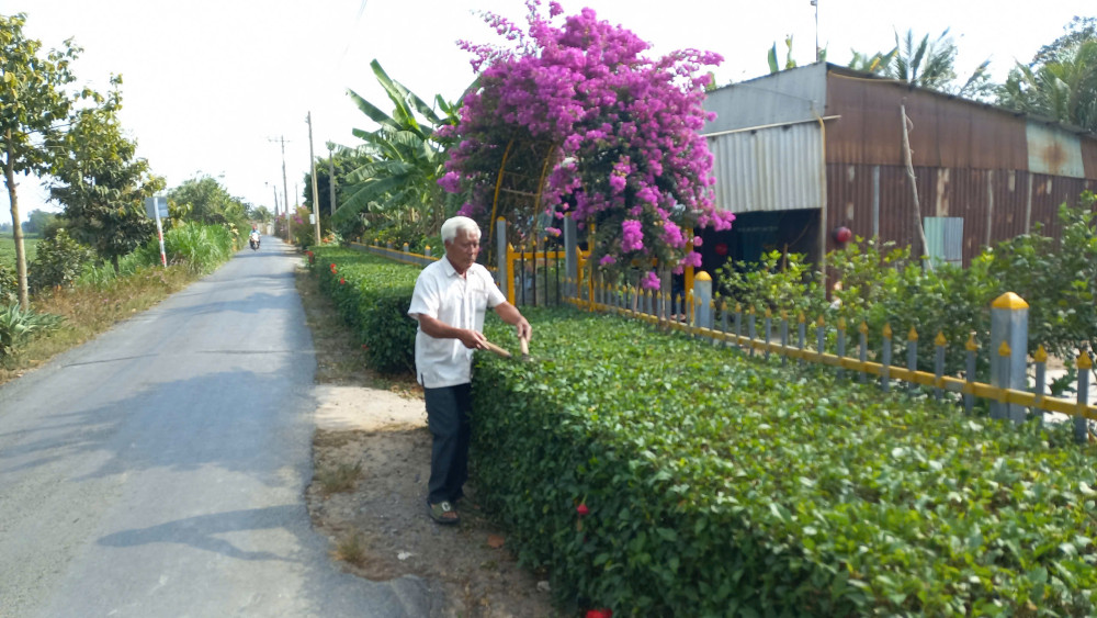 Diện mạo nông thôn ngày càng khởi sắc