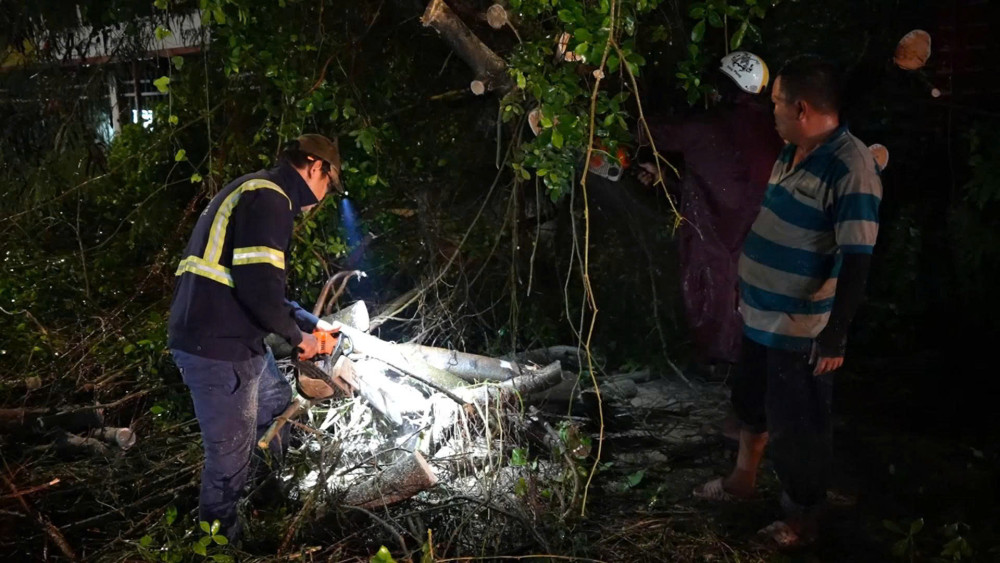 Lực lượng môi trường đô thị tiến hành cắt hạ và thu dọn các cây xanh bị ngã