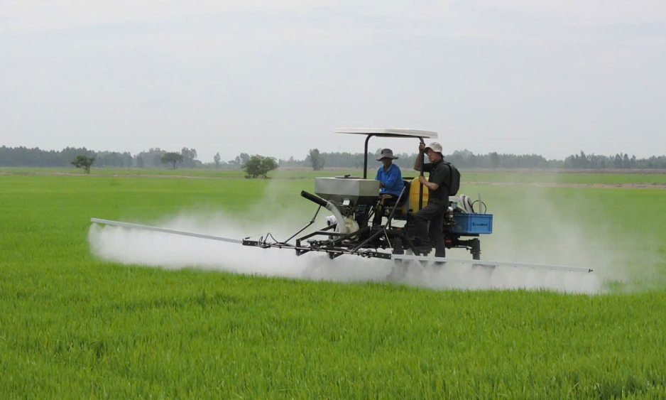 Theo s&aacute;t đồng ruộng, ph&ograve;ng trừ s&acirc;u, bệnh g&acirc;y hại l&uacute;a