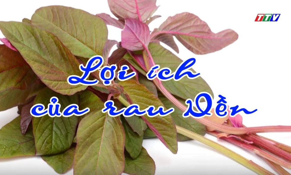 M&oacute;n ăn b&agrave;i thuốc: Lơị &iacute;ch của rau dền