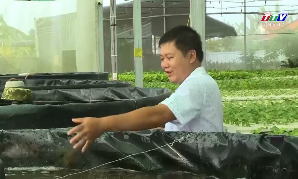 Triển khai nhiều m&ocirc; h&igrave;nh sản xuất mới