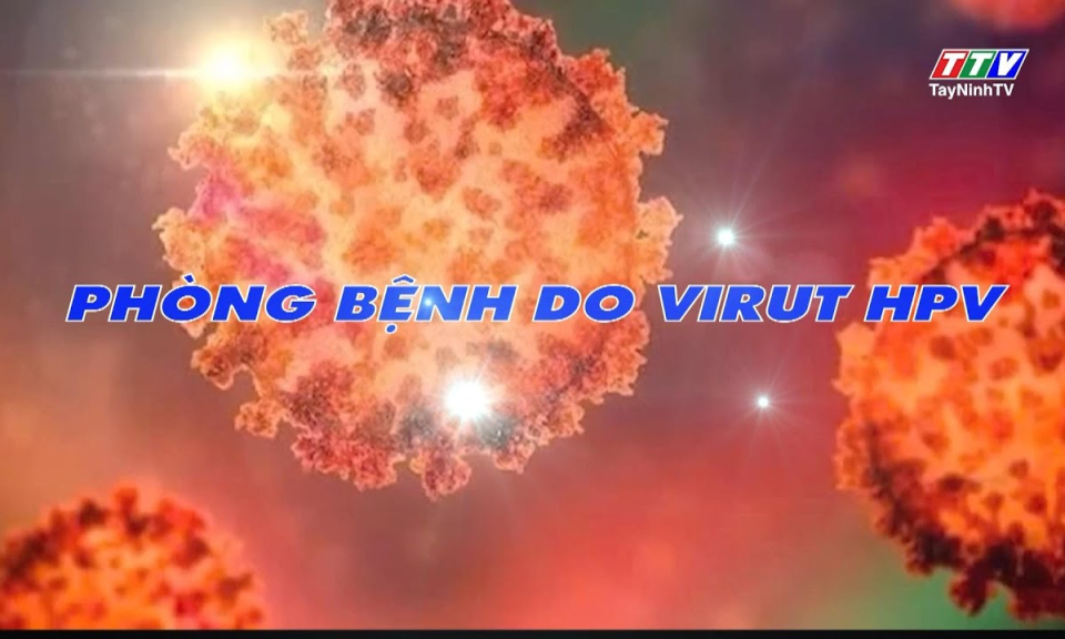 Sức khoẻ & Đời sống: Ph&ograve;ng bệnh do Virus HPV