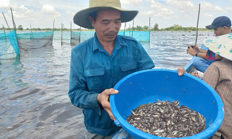 Thủy sản m&ugrave;a nước nổi chưa nhiều