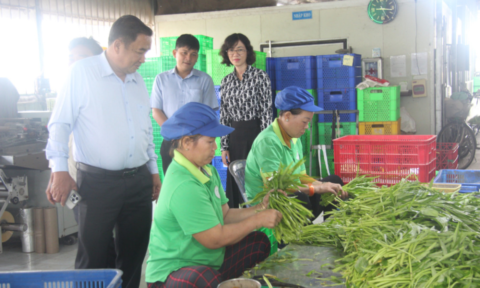 L&atilde;nh đạo x&atilde; Rạch Kiến khảo s&aacute;t hoạt động hợp t&aacute;c x&atilde; v&agrave; tuyến đường L&ecirc; Văn Duyệt
