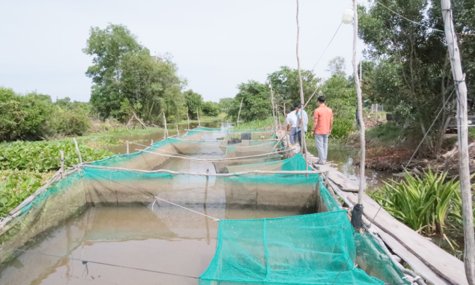 X&atilde; Phước Chỉ khai th&aacute;c thế mạnh nu&ocirc;i trồng thủy sản