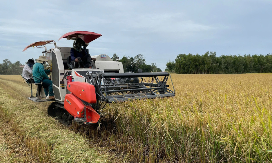 X&atilde; Nhơn H&ograve;a Lập: Vững bước tr&ecirc;n con đường ph&aacute;t triển