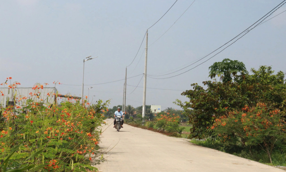 X&atilde; T&acirc;n L&acirc;n chung tay x&acirc;y dựng n&ocirc;ng th&ocirc;n mới