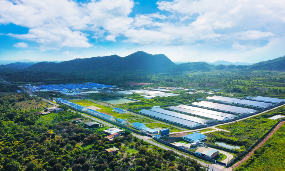 X&atilde; T&acirc;n Hội vững bước hướng tới ph&aacute;t triển năng động, to&agrave;n diện