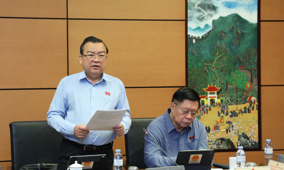 Đại biểu Quốc hội L&ecirc; Thị Song An: G&oacute;p &yacute; nhiều nội dung quan trọng đối với dự &aacute;n Luật sửa đổi, bổ sung một số điều của Luật Quản l&yacute; nợ c&ocirc;ng