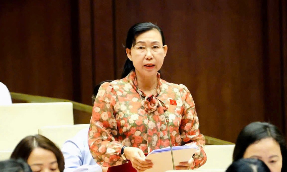 Đại biểu Phan Thị Mỹ Dung đề nghị x&aacute;c định tr&igrave;nh tự thủ tục phục hồi l&agrave; một chế định ri&ecirc;ng biệt