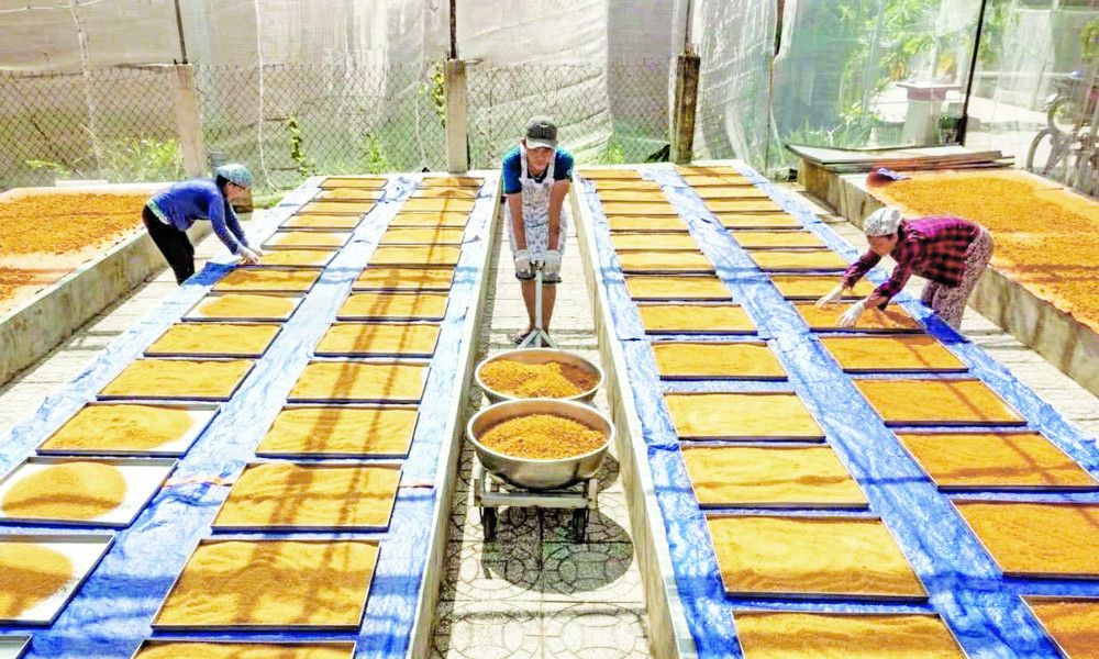 Công nhân Cơ sở sản xuất muối tôm Thắng Lợi phơi muối trong nhà kín, bảo đảm khô đều và vệ sinh an toàn thực phẩm (Ảnh: Cơ sở cung cấp)