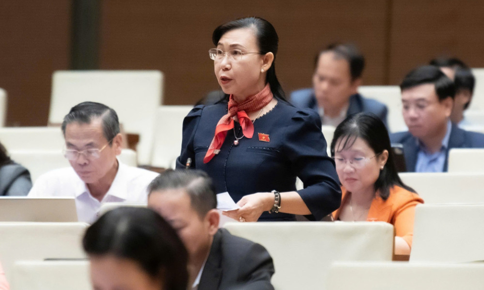 Đại biểu Phan Thị Mỹ Dung: Xem x&eacute;t bỏ quy định bắt buộc phải ghi gi&aacute; đất trong quyết định giao đất, cho thu&ecirc; đất 