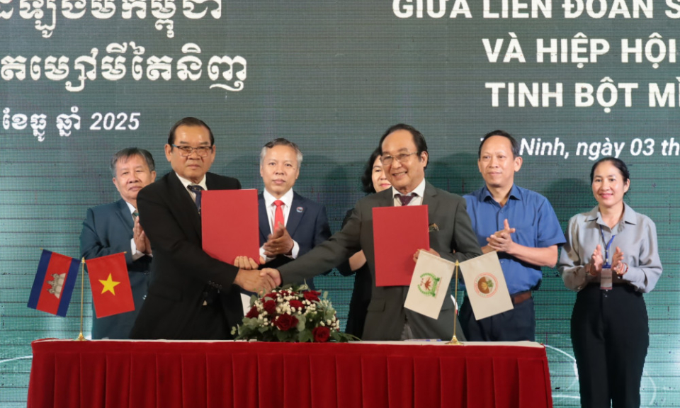 T&acirc;y Ninh: K&yacute; kết hợp t&aacute;c sản xuất khoai m&igrave; với Li&ecirc;n đo&agrave;n sắn Campuchia