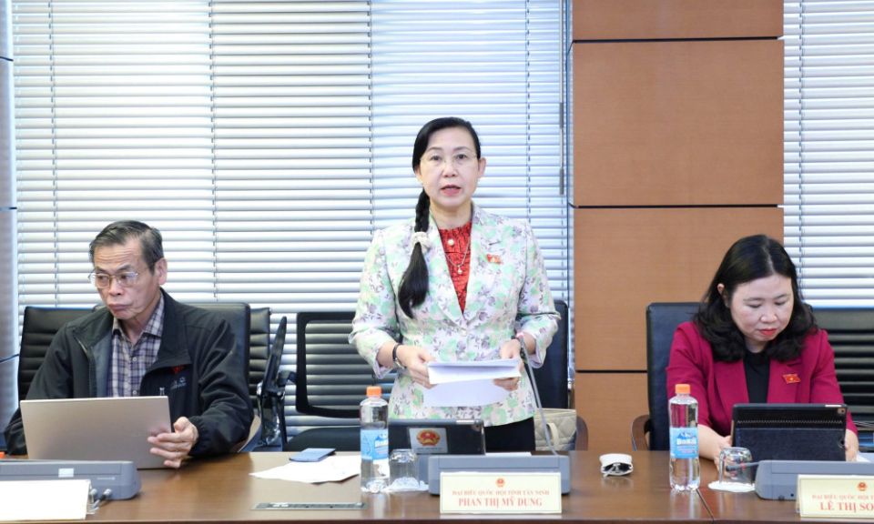 Thiếu cơ chế, quy tr&igrave;nh, nguồn lực thực hiện thi h&agrave;nh &aacute;n tại T&ograve;a &aacute;n chuy&ecirc;n biệt