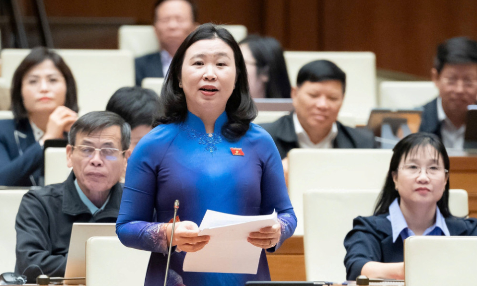 Đại biểu L&ecirc; Thị Song An: Đề nghị sớm triển khai phương &aacute;n xử l&yacute; Nh&agrave; m&aacute;y bột giấy Phương Nam