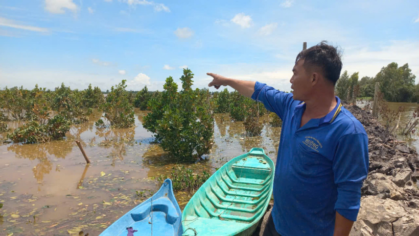T&acirc;y Ninh quy định mức hỗ trợ kh&ocirc;i phục sản xuất v&ugrave;ng bị thiệt hại do thi&ecirc;n tai, dịch hại
