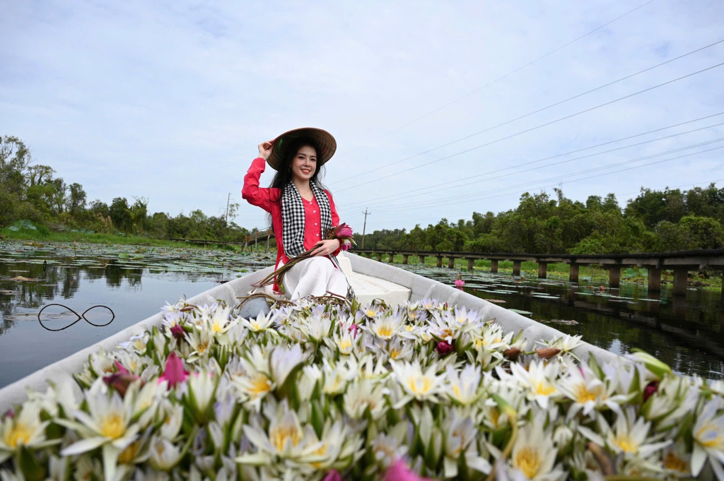 Du khách check in với thuyền hoa súng