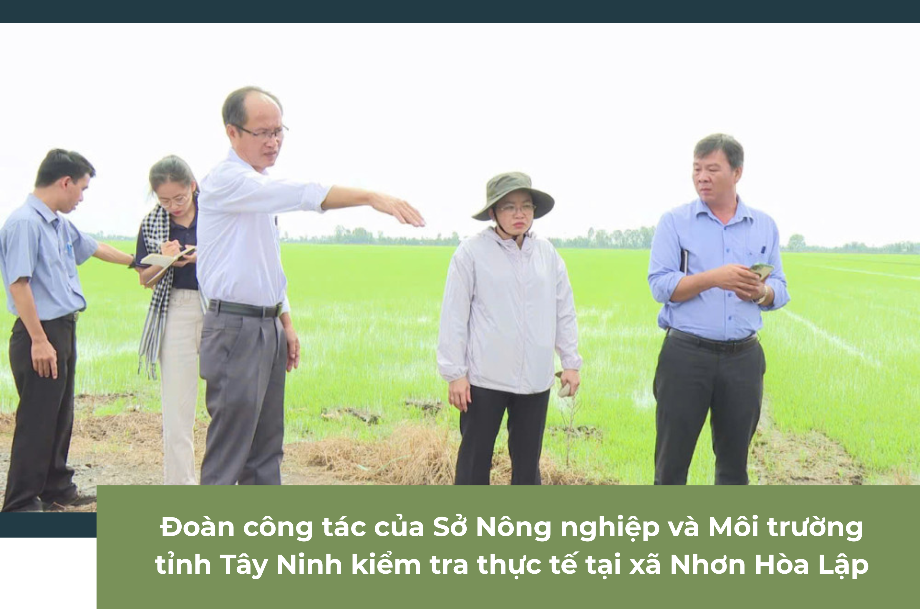 Ảnh tràn viền