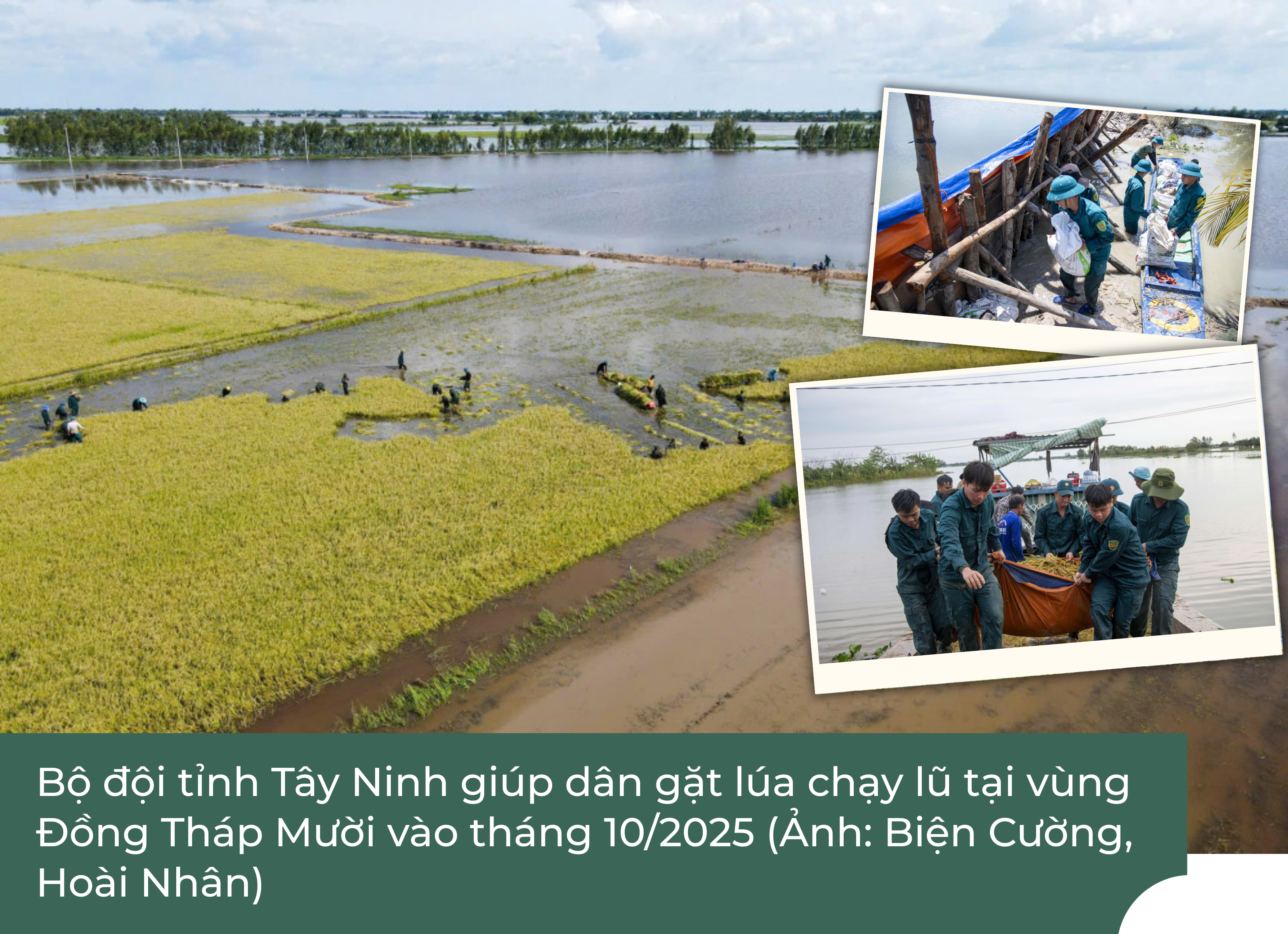 Ảnh với chú thích