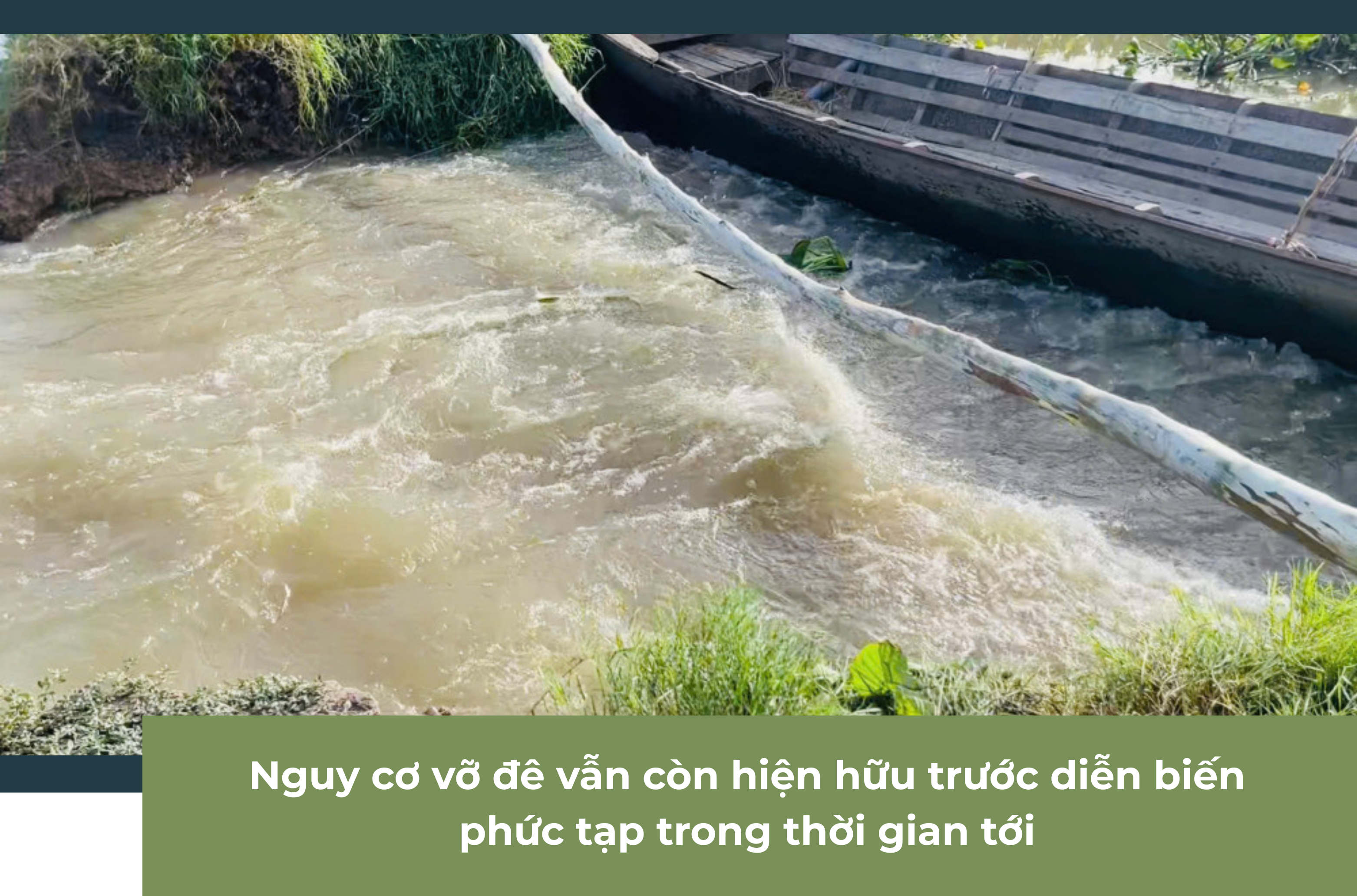 Ảnh tràn viền