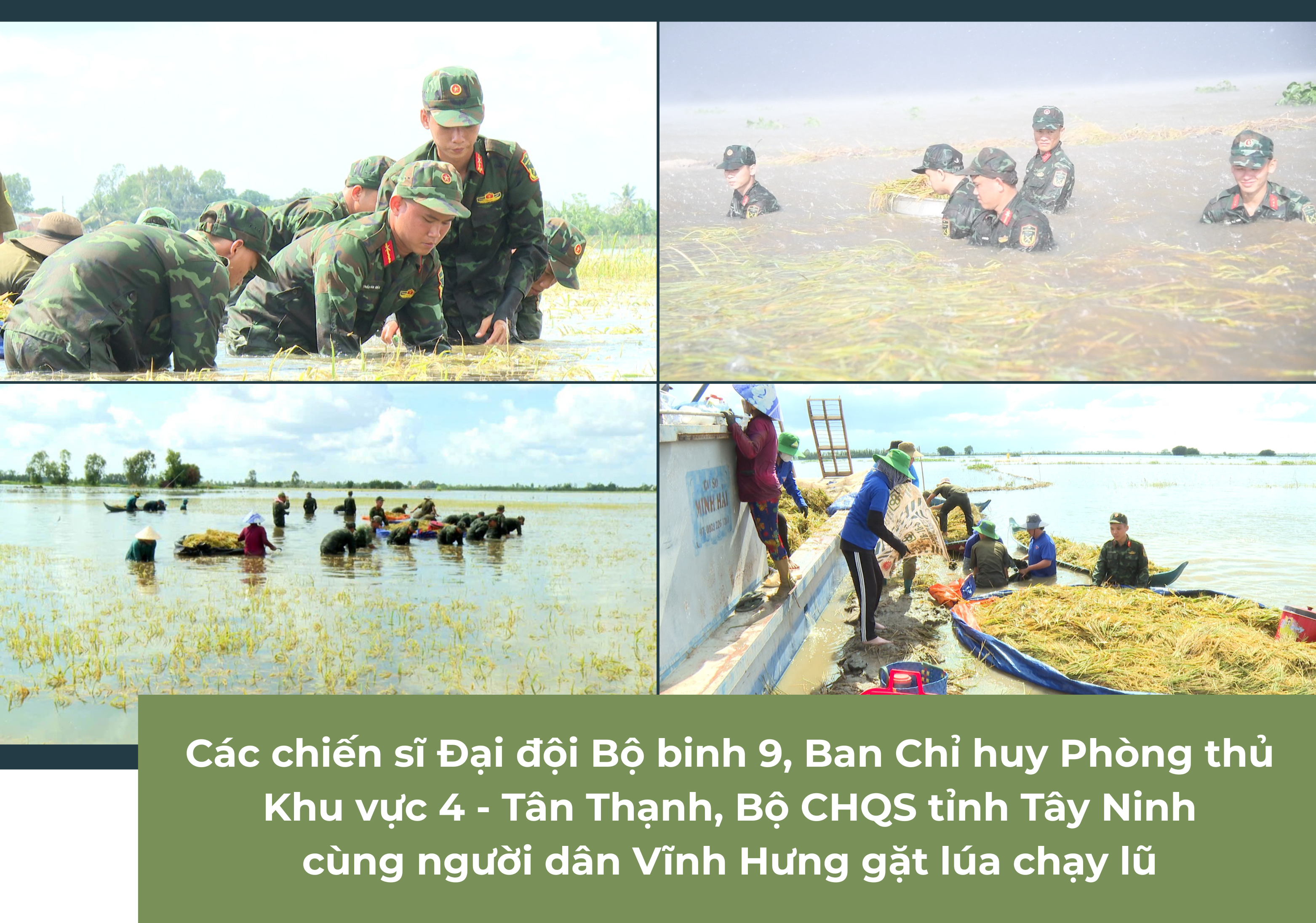 Ảnh tràn viền