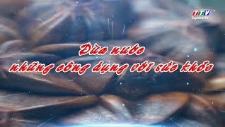 Dừa nước - Những c&ocirc;ng dụng với sức khỏe