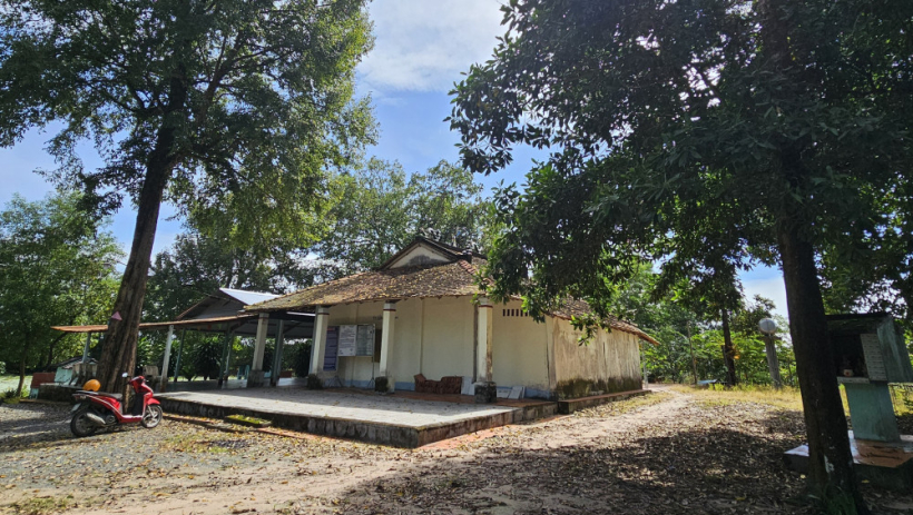 Đ&igrave;nh Tru&ocirc;ng M&iacute;t - Chứng nh&acirc;n lịch sử giữa kh&ocirc;ng gian xanh m&aacute;t