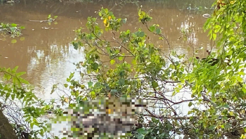 Ph&aacute;t hiện một người đ&agrave;n &ocirc;ng tử vong ở đoạn k&ecirc;nh qua x&atilde; B&igrave;nh Đức 