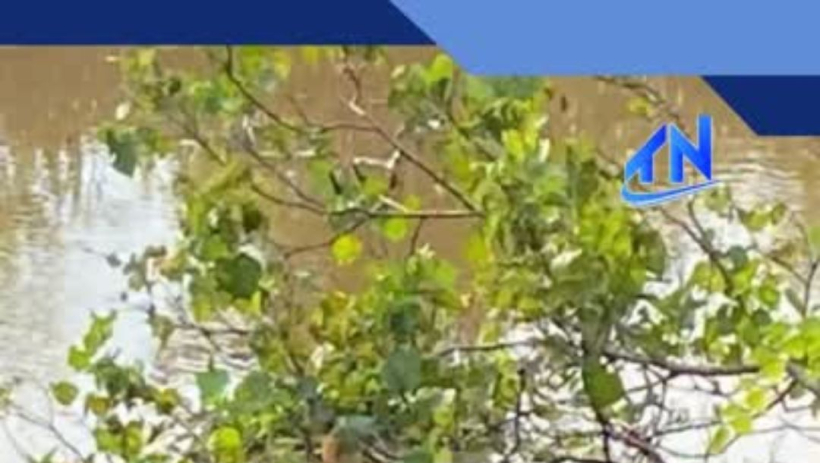 Ph&aacute;t hiện thi thể nam giới ở đoạn k&ecirc;nh qua x&atilde; B&igrave;nh Đức