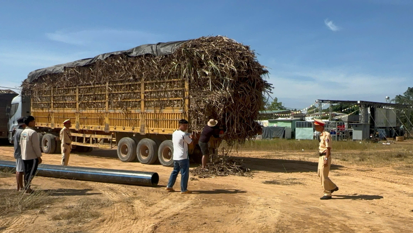 Ki&ecirc;n quyết xử l&yacute; nghi&ecirc;m c&aacute;c xe chở m&iacute;a qu&aacute; khổ, qu&aacute; tải