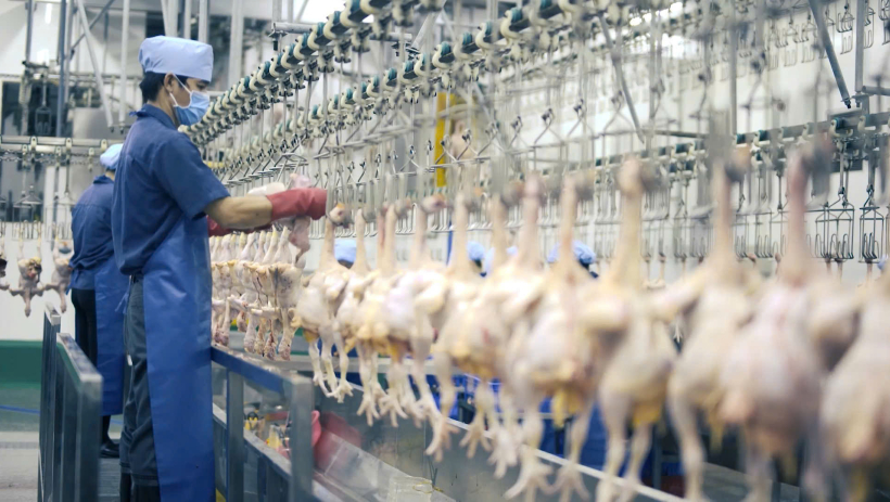 Chủ động h&agrave;ng h&oacute;a phục vụ thị trường tết 