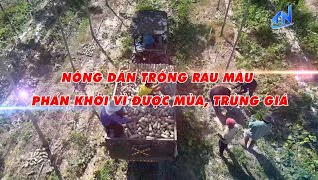N&ocirc;ng d&acirc;n trồng rau m&agrave;u phấn khởi v&igrave; được m&ugrave;a, tr&uacute;ng gi&aacute;