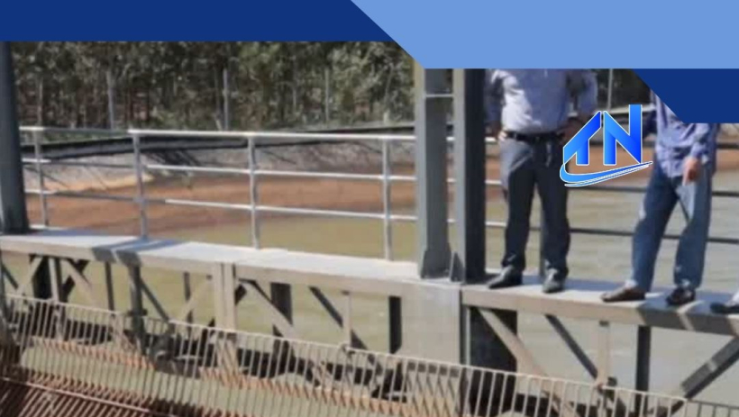 Nguy cơ &ocirc; nhiễm nguồn nước hồ Dầu Tiếng từ việc vứt x&aacute;c động vật bừa b&atilde;i