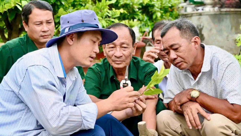 Ch&agrave;ng trai 9X khởi nghiệp th&agrave;nh c&ocirc;ng từ giống mai &lsquo;Giảo Như &Yacute;&rsquo;