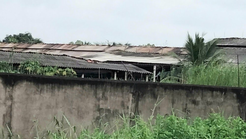 Trang trại g&agrave; Ba Hội sẽ chấm dứt hoạt động trước th&aacute;ng 5/2026