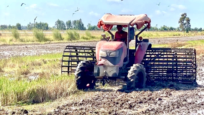 N&ocirc;ng d&acirc;n x&atilde; Vĩnh Ch&acirc;u tập trung xuống giống vụ l&uacute;a Đ&ocirc;ng Xu&acirc;n 2025-2026