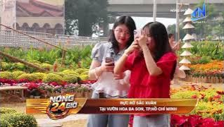 Rực rỡ sắc xu&acirc;n tại vườn hoa Ba Son,TP Hồ Ch&iacute; Minh