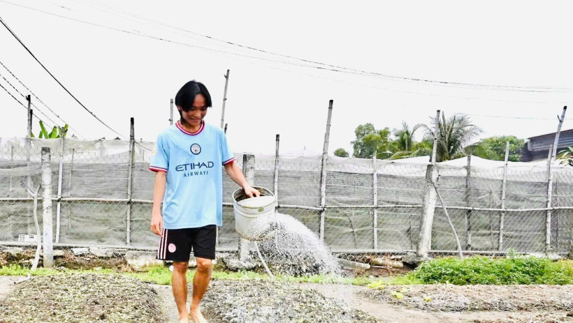 Mỹ Y&ecirc;n - Tập trung xuống giống rau m&agrave;u