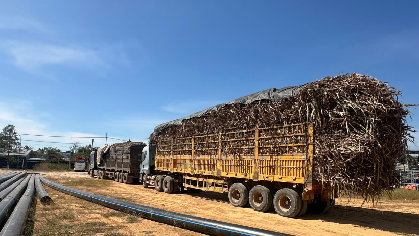 Triển khai đồng bộ c&aacute;c giải ph&aacute;p, hạn chế t&igrave;nh trạng xe chở m&iacute;a qu&aacute; khổ, qu&aacute; tải