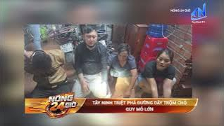 T&acirc;y Ninh triệt ph&aacute; đường d&acirc;y trộm ch&oacute; quy m&ocirc; lớn