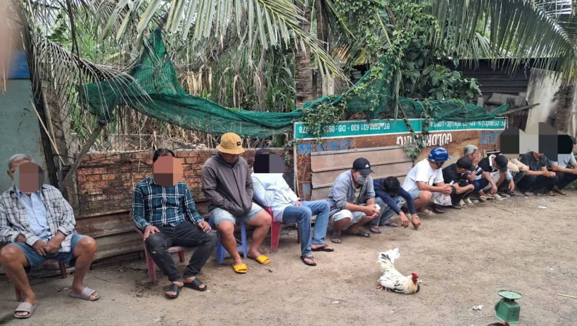 Bắt tụ điểm đ&aacute;nh bạc bằng h&igrave;nh thức đ&aacute; g&agrave; ở x&atilde; Bến Lức