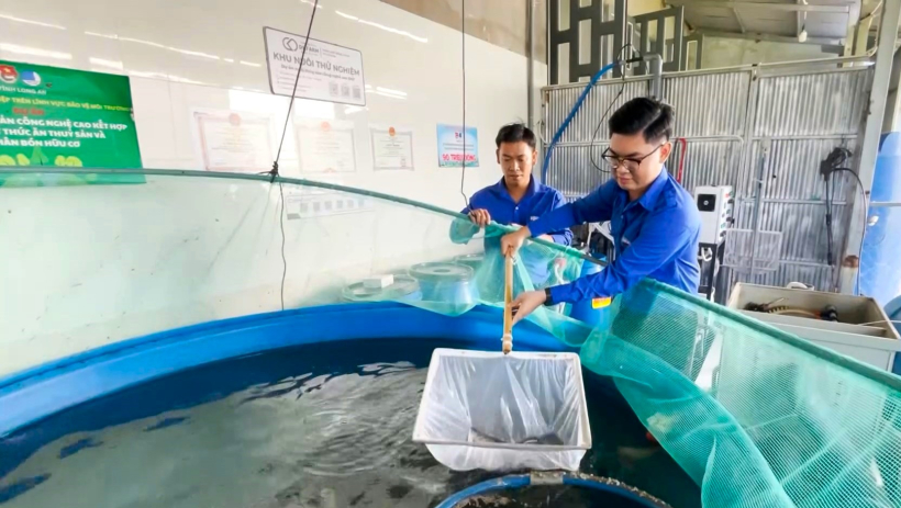 Thanh ni&ecirc;n l&agrave;m chủ kinh tế bằng tư duy mới