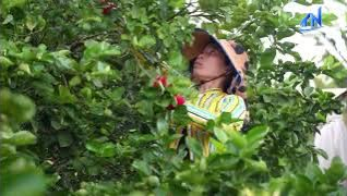 T&acirc;y Ninh: Triển khai nhiều giải ph&aacute;p giảm ngh&egrave;o bền vững