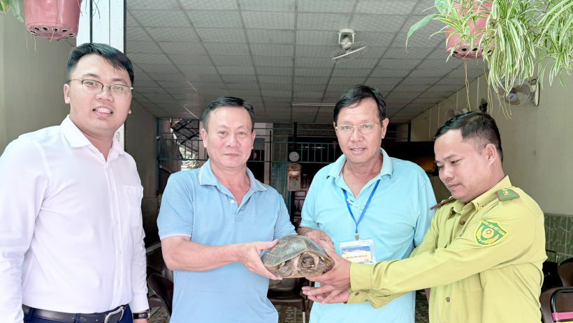 X&atilde; Cần Giuộc: Người d&acirc;n b&agrave;n giao c&aacute; thể r&ugrave;a thuộc nh&oacute;m IIB