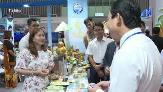 Hội nghị v&ugrave;ng Việt Nam của TPO năm 2026 sẽ tổ chức tại T&acirc;y Ninh