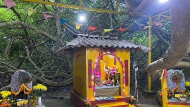 Di t&iacute;ch Gi&agrave;n Gừa v&agrave;&nbsp;miễu B&agrave; Thượng động Cố Hỷ