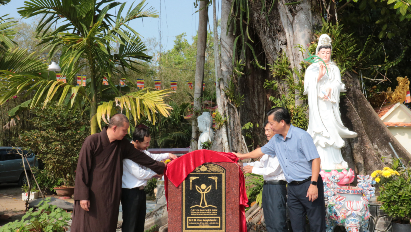 X&atilde; Hiệp H&ograve;a&nbsp;đ&oacute;n nhận Bằng c&ocirc;ng nhận C&acirc;y Di sản Việt Nam đầu ti&ecirc;n