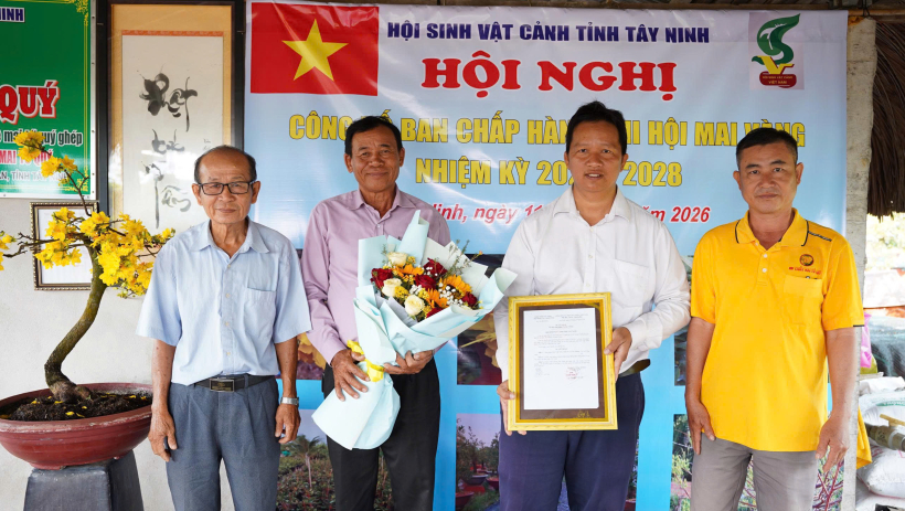 N&acirc;ng cao gi&aacute; trị mai v&agrave;ng