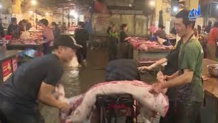 Nhức nhối l&ograve; g/i/ế/t m/ổ tr&aacute;i ph&eacute;p c&ocirc;ng khai dịp cận Tết