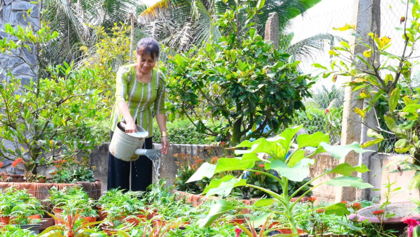 Chăm hoa đ&oacute;n tết - niềm vui giản dị